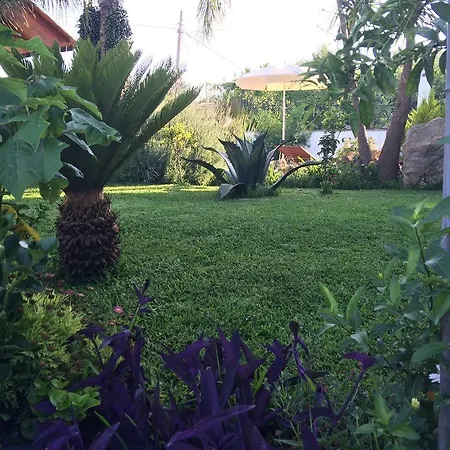 Holiday home Dimora Fragolina