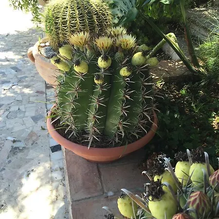 Dimora Fragolina Monreale